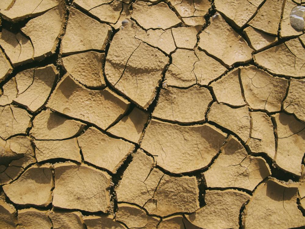 Cracked ground